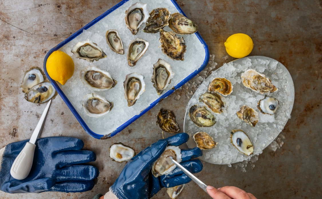 Hog Island Oyster Co